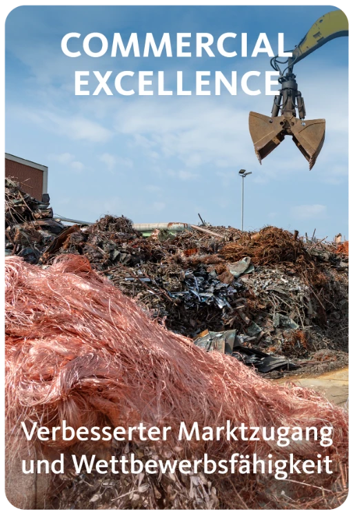 COMMERCIAL EXCELLENCE_DE