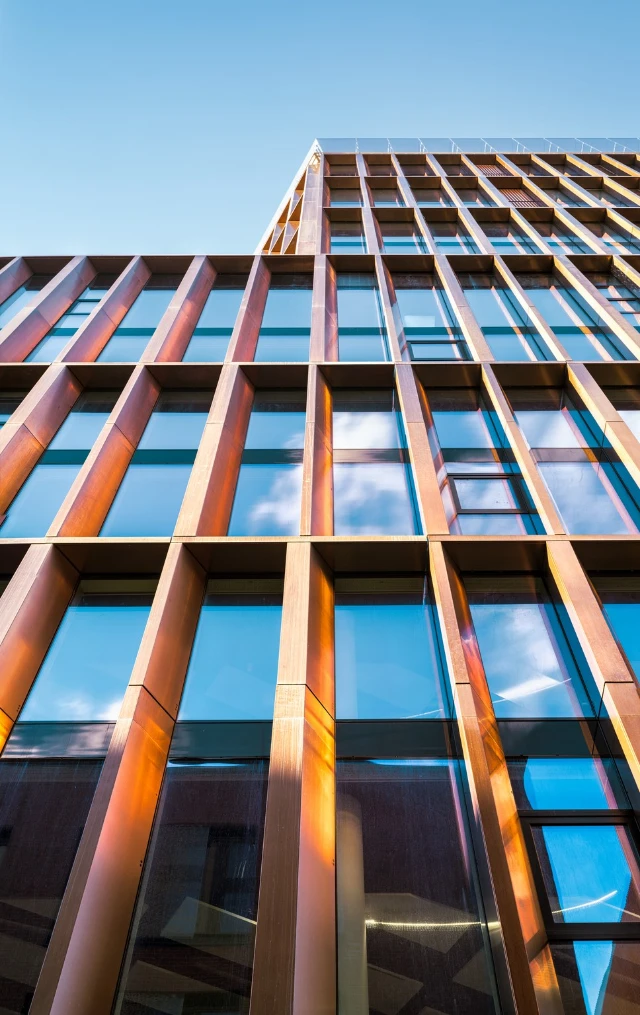 20240202_mika_huisman_we_land-6-Pano